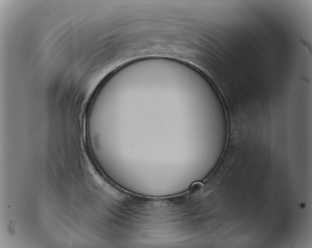 X0000103461515200809261828