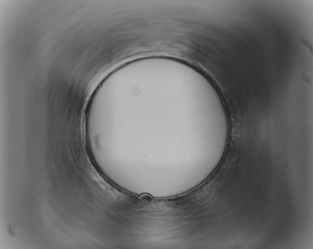 X0000103461516200809261828