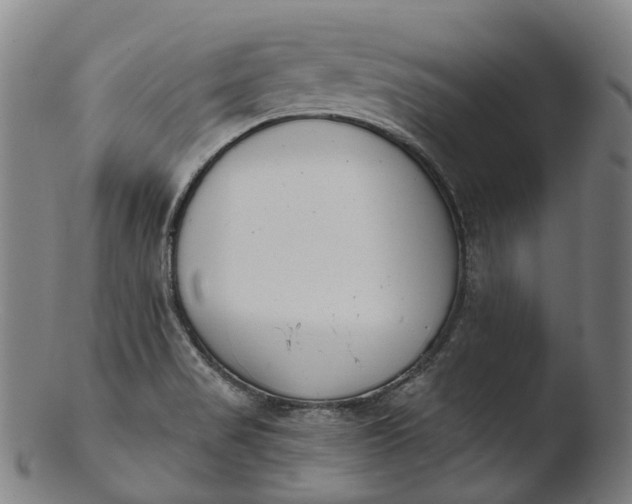 X0000103461517200809261828