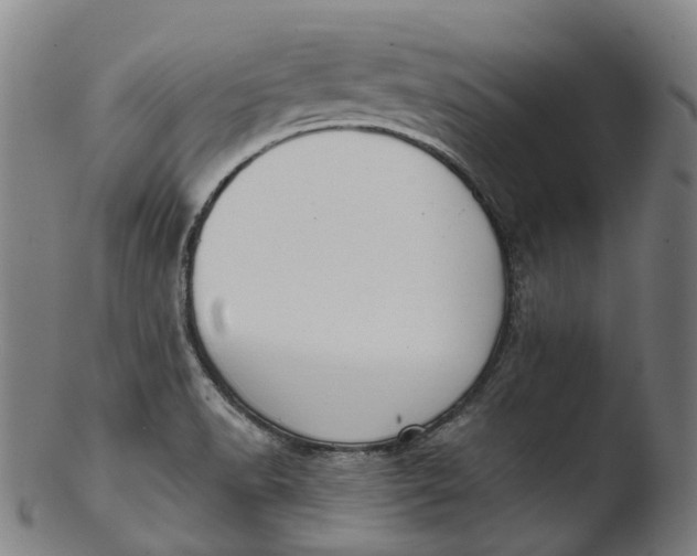 X0000103461518200809261828