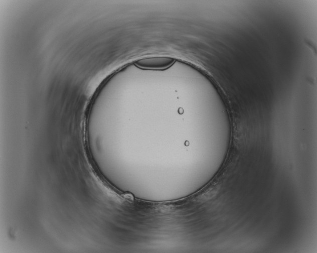 X0000103461519200809261828