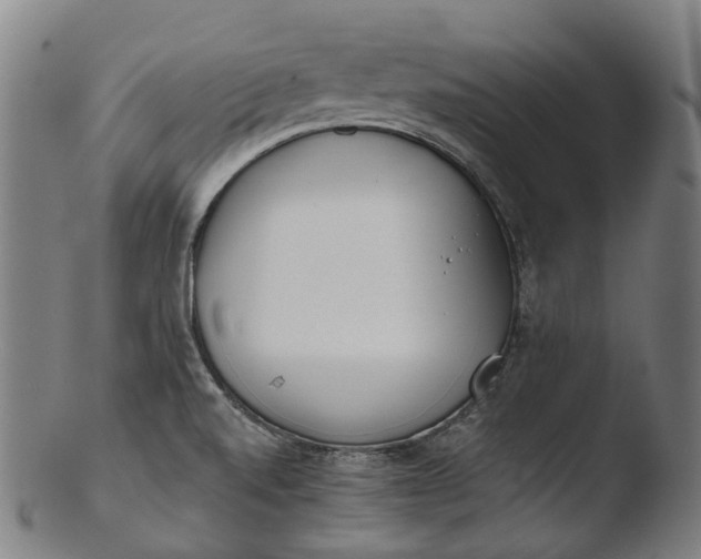 X0000103461520200809261828