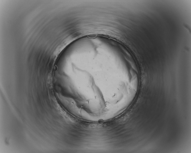 X0000103461521200809261828