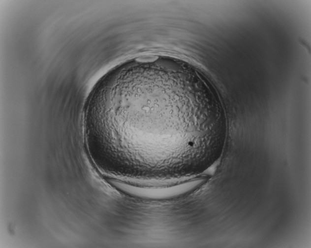 X0000103461522200809261828