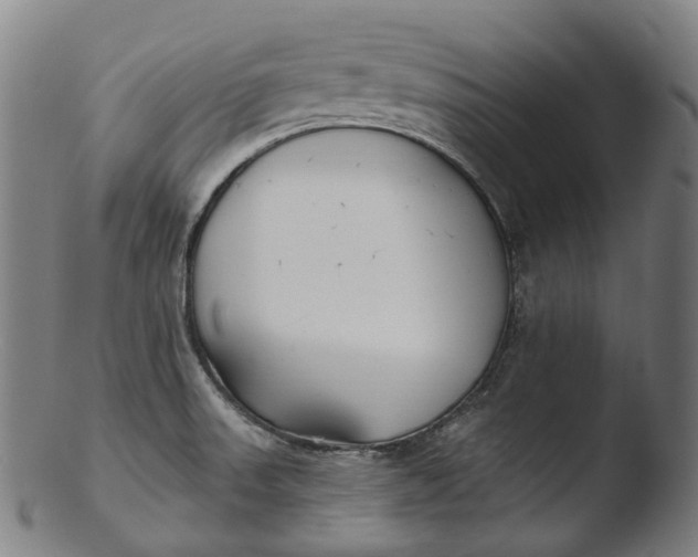 X0000103461523200809261828