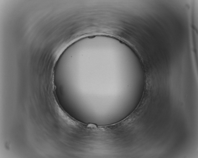 X0000103461524200809261828