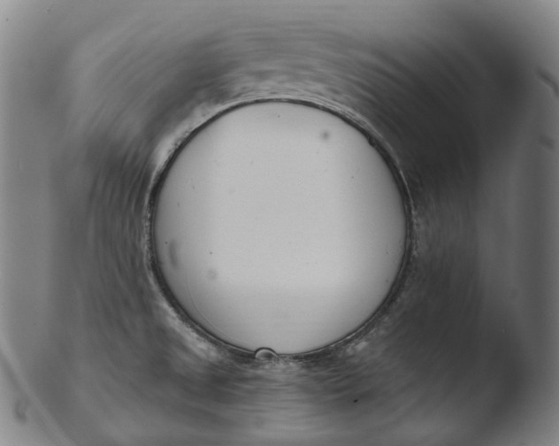 X0000103461525200809261828