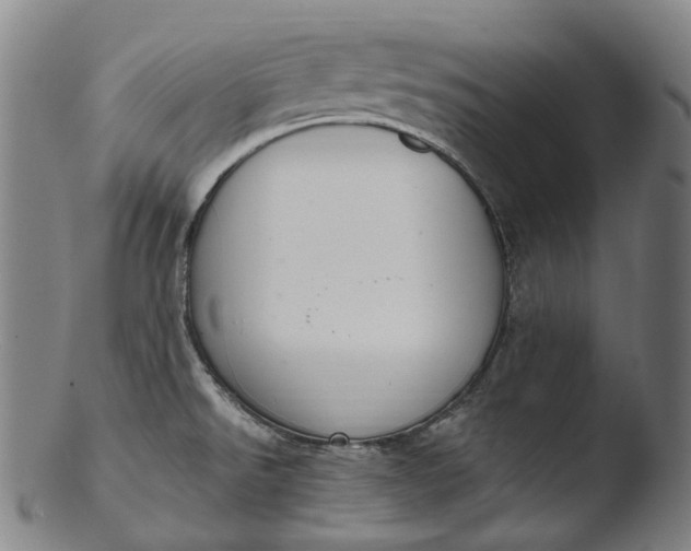 X0000103461526200809261828