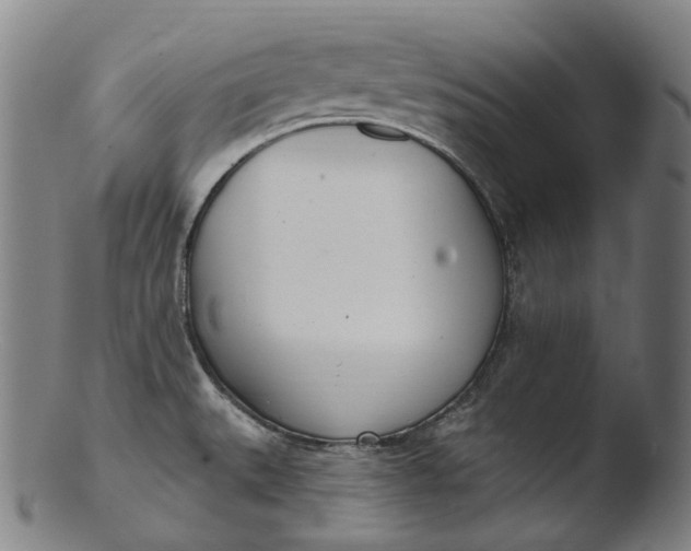 X0000103461527200809261828