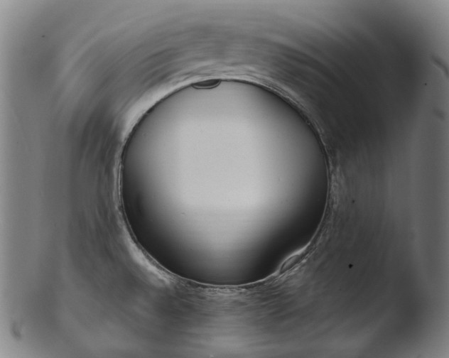 X0000103461528200809261828