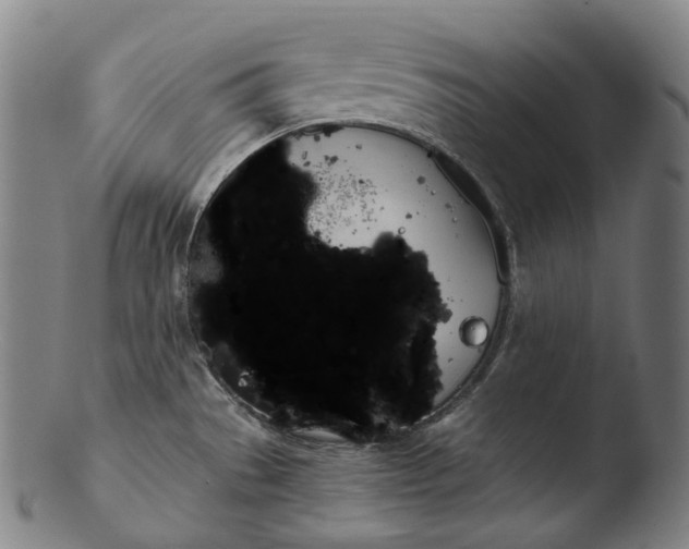 X0000103461529200809261828