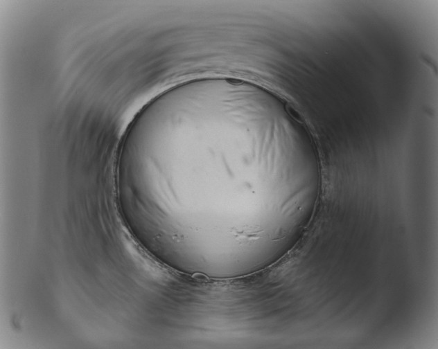 X0000103461530200809261828