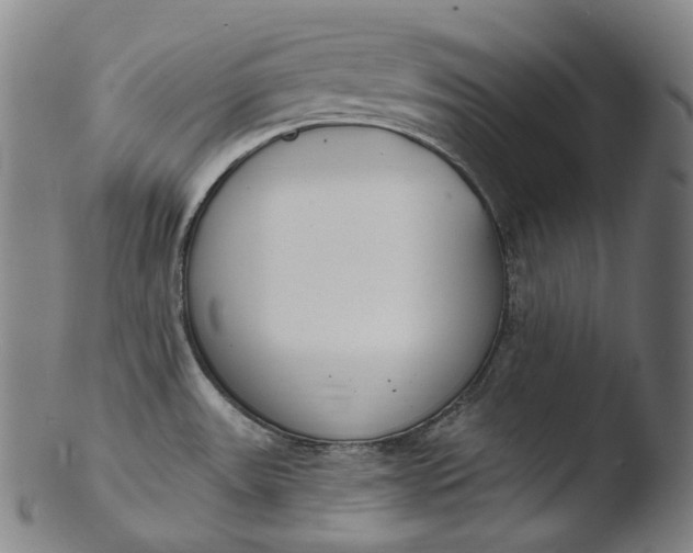 X0000103461531200809261829