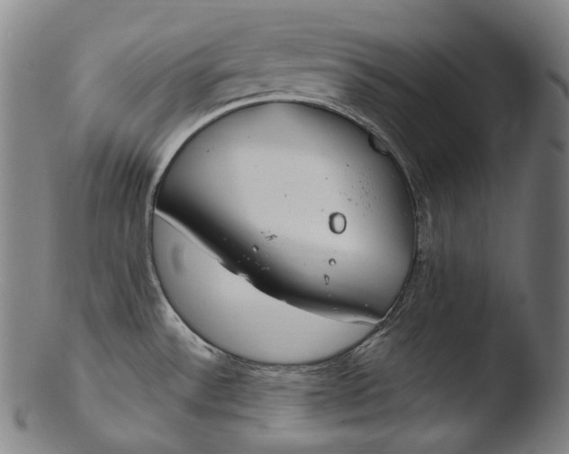 X0000103461532200809261829