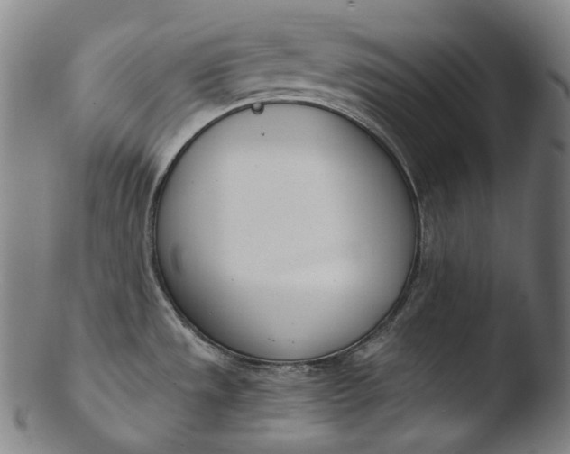 X0000103461533200809261829