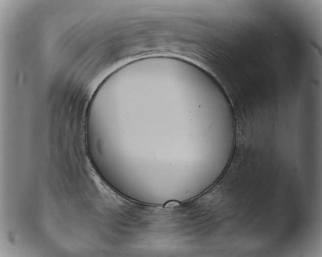 X0000103461534200809261829