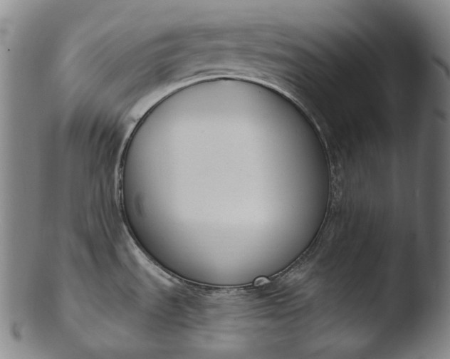 X0000103461535200809261829