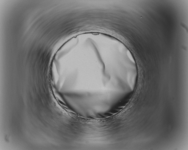 X0000103461536200809261829