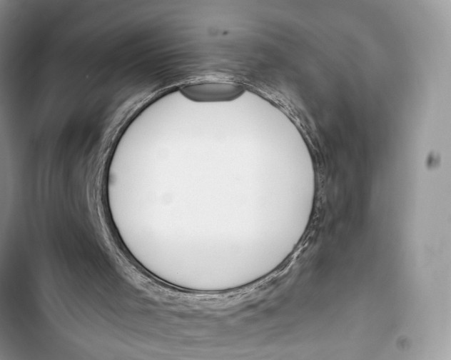 X0000103460001200810031508