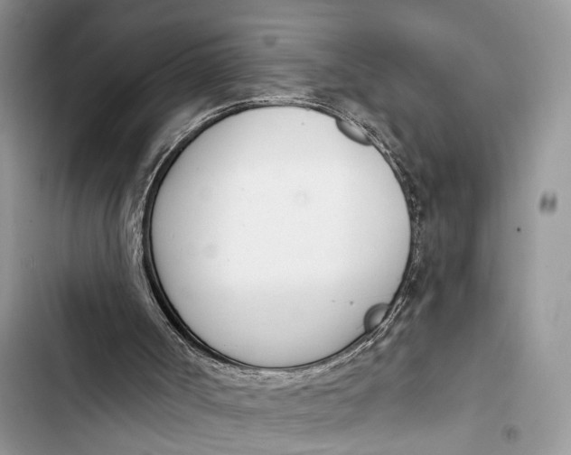 X0000103460002200810031508