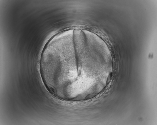 X0000103460003200810031508
