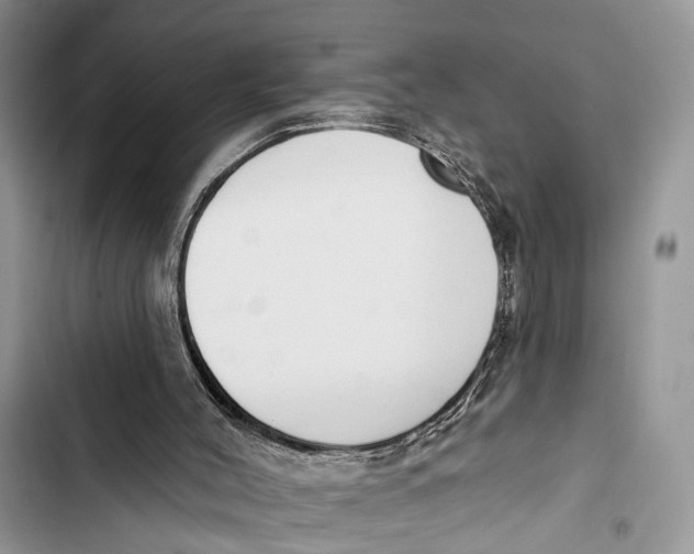 X0000103460004200810031508