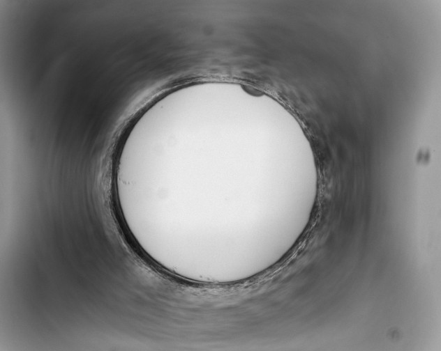 X0000103460005200810031508