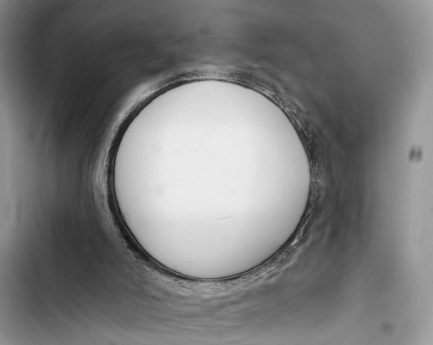 X0000103460006200810031508
