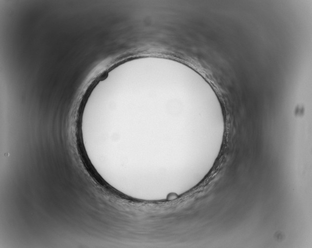 X0000103460007200810031508