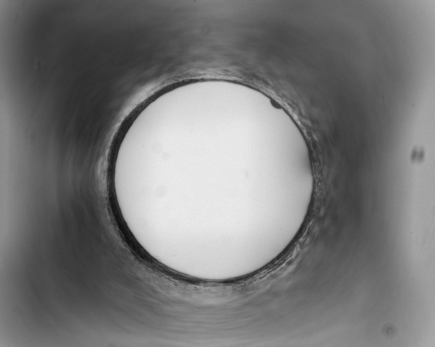 X0000103460008200810031508