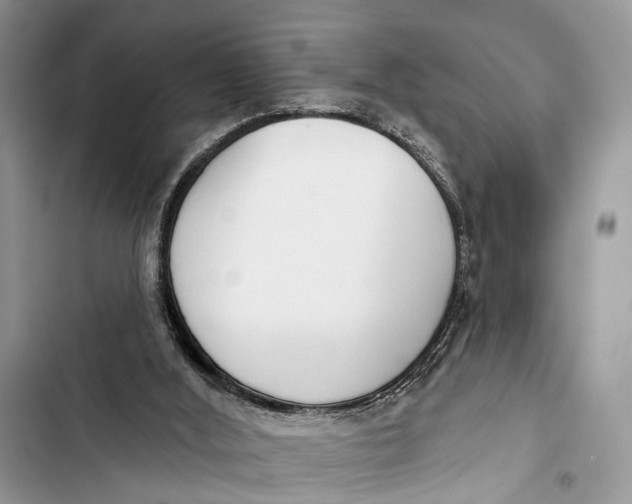 X0000103460012200810031508