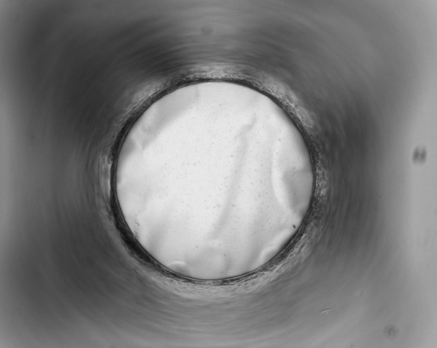 X0000103460014200810031508