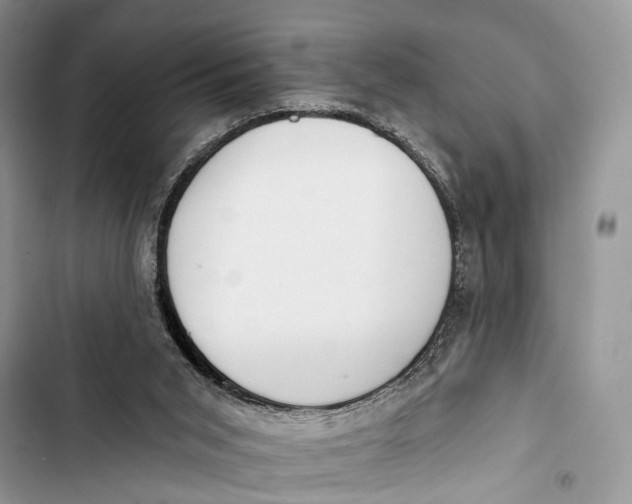 X0000103460015200810031508