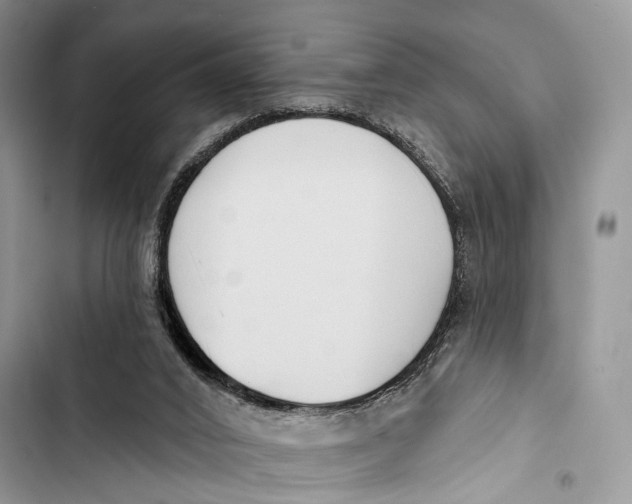 X0000103460016200810031508