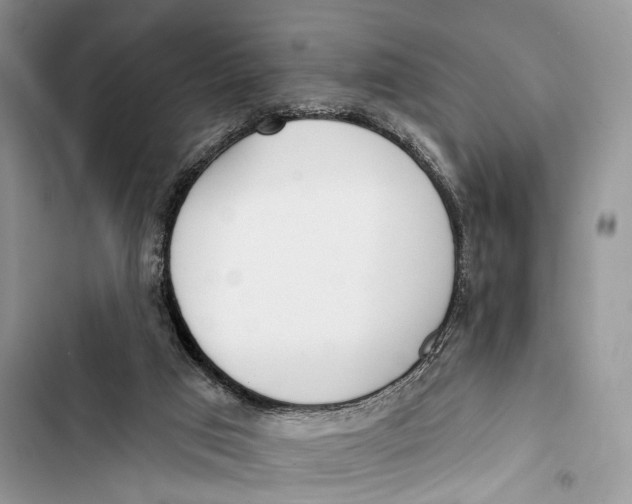 X0000103460017200810031508