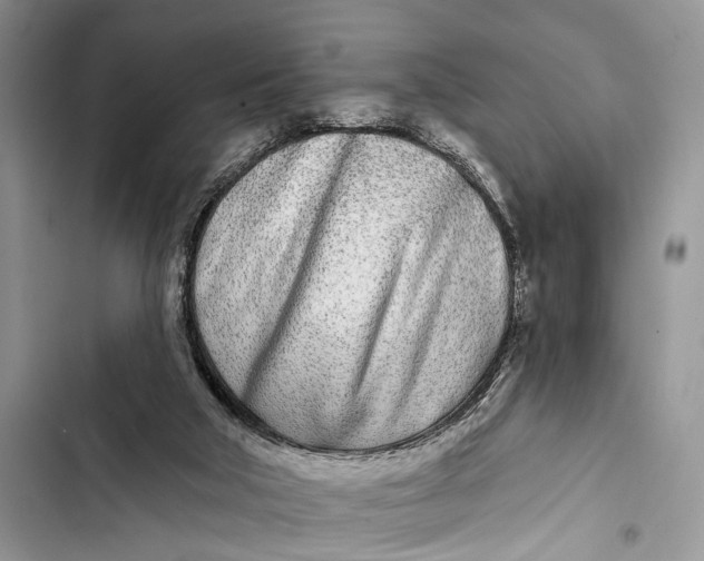 X0000103460018200810031508