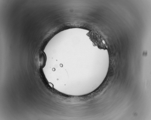 X0000103460020200810031508