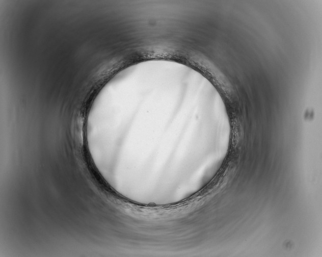 X0000103460022200810031508