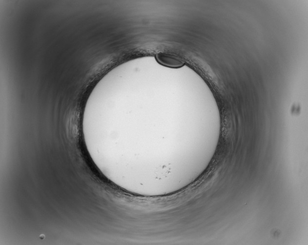 X0000103460023200810031508