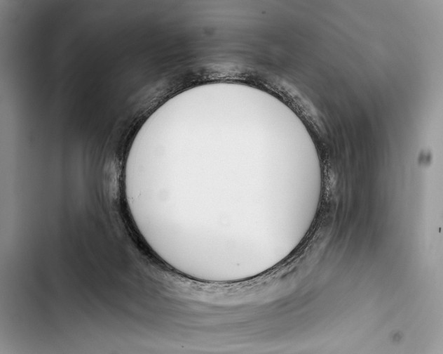 X0000103460026200810031508