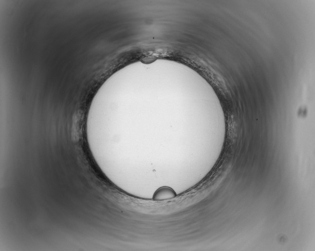X0000103460030200810031508