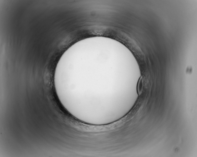 X0000103460031200810031508