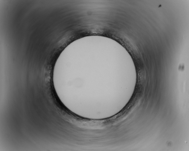 X0000103460032200810031508