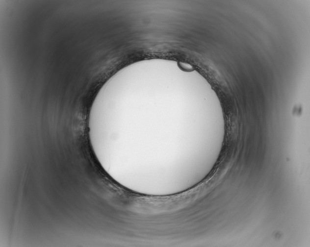 X0000103460033200810031507