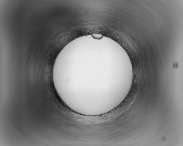 X0000103460034200810031507