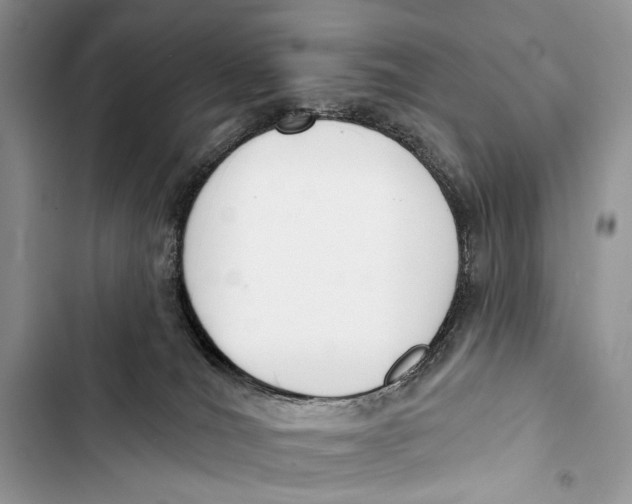 X0000103460036200810031507
