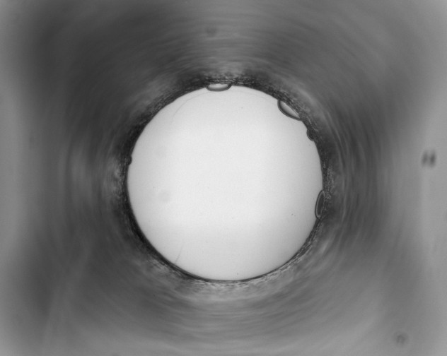 X0000103460037200810031507