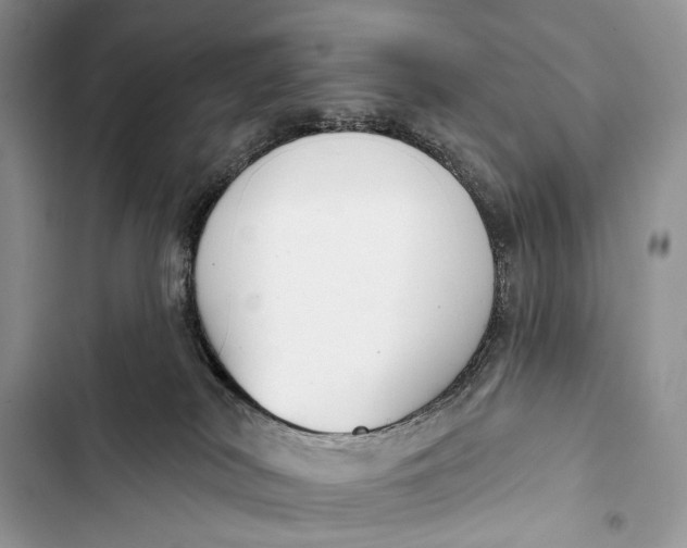 X0000103460038200810031507