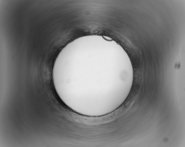 X0000103460039200810031507