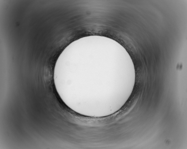 X0000103460040200810031507